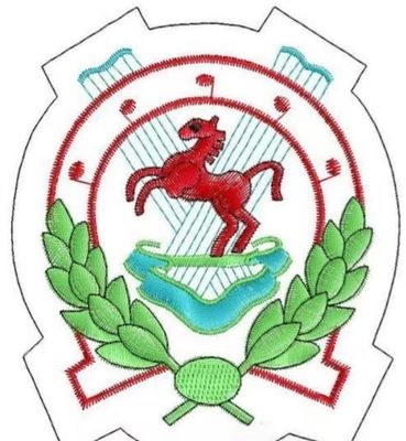 12 15 agujas doble dos 2 cabezas máquina de bordado plana para sombrero de la camiseta de la tapa en la OPEK